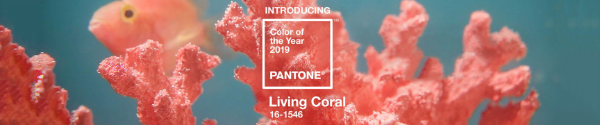 Pantone-color-of-the-year-2019: living coral