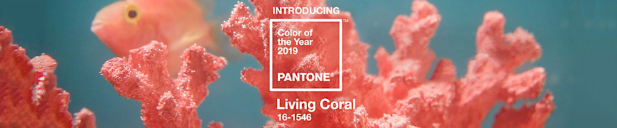 Pantone-color-of-the-year-2019: living coral