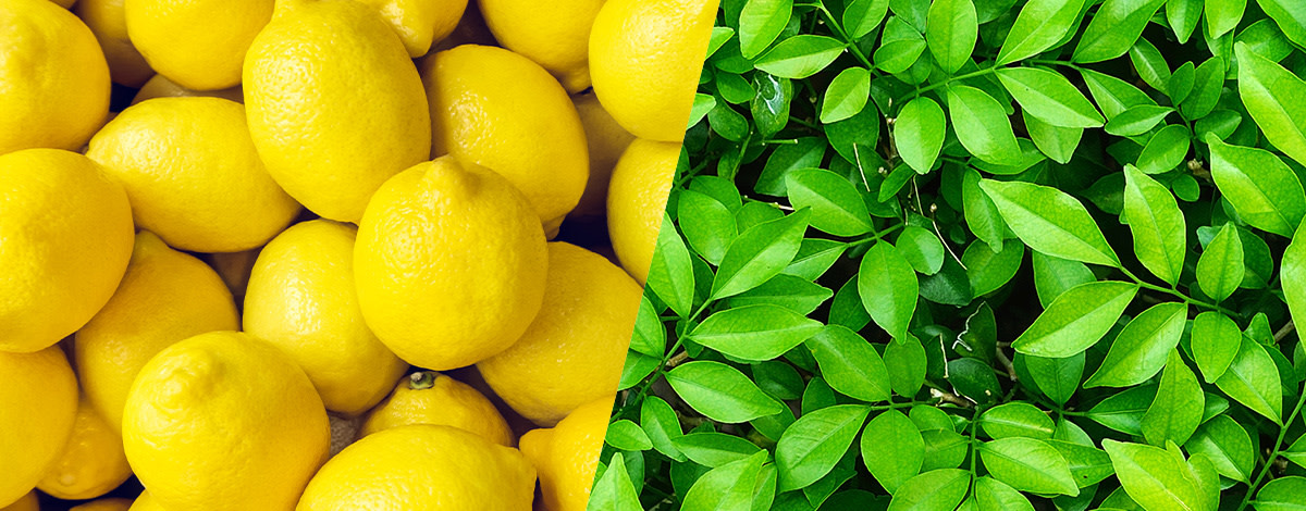 featured kleurenpsychologie 6