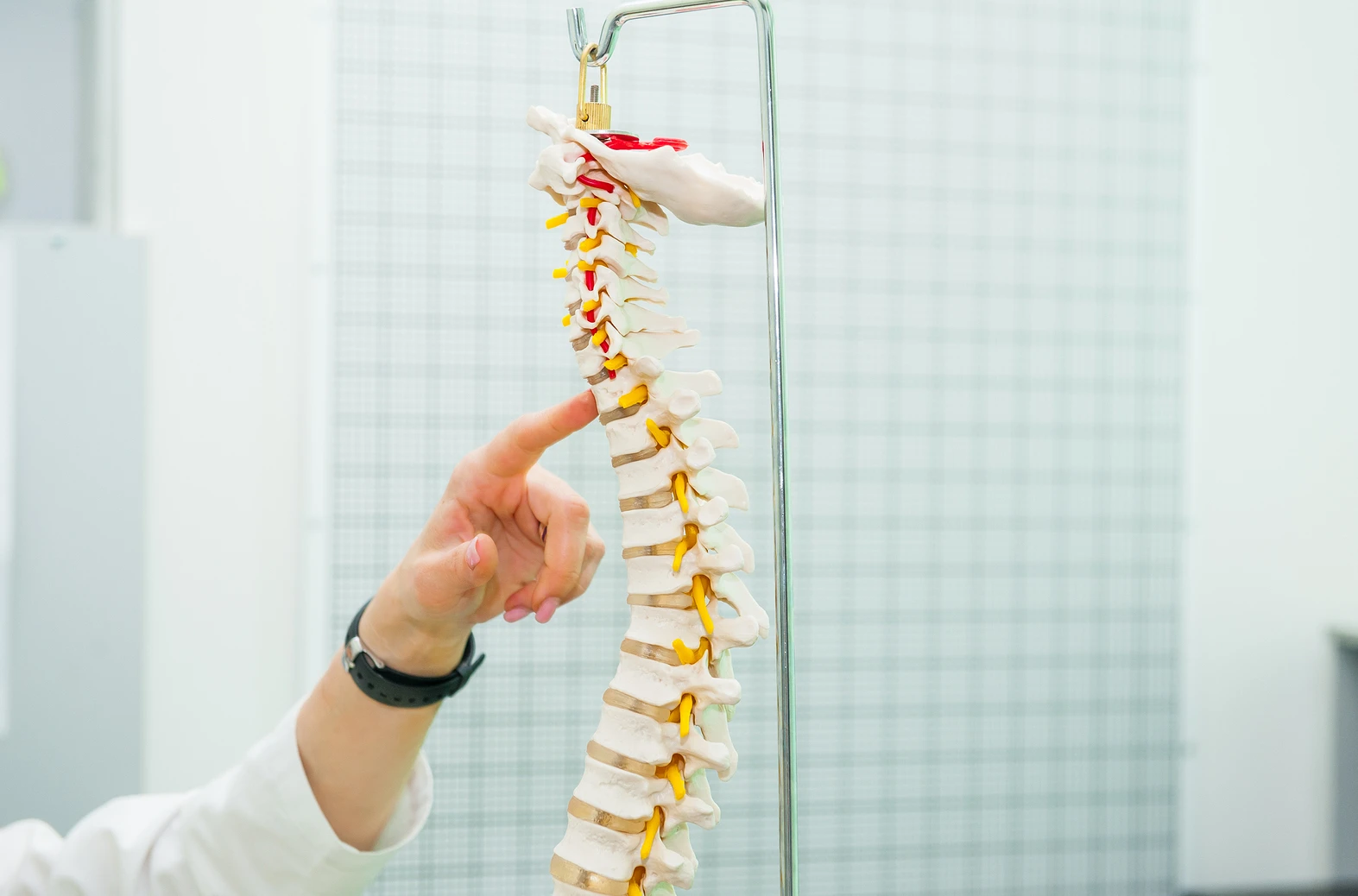 What Is a "Neutral Spine" and How Can It Benefit Your Workouts? 