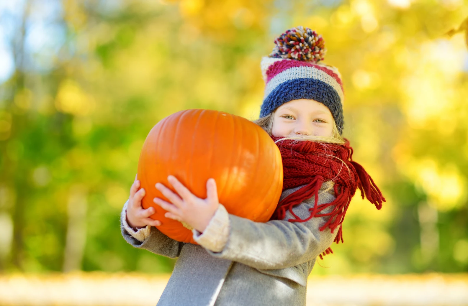 7 Fun Fall Activities for Families (That Can Also Help You Stay Fit) 