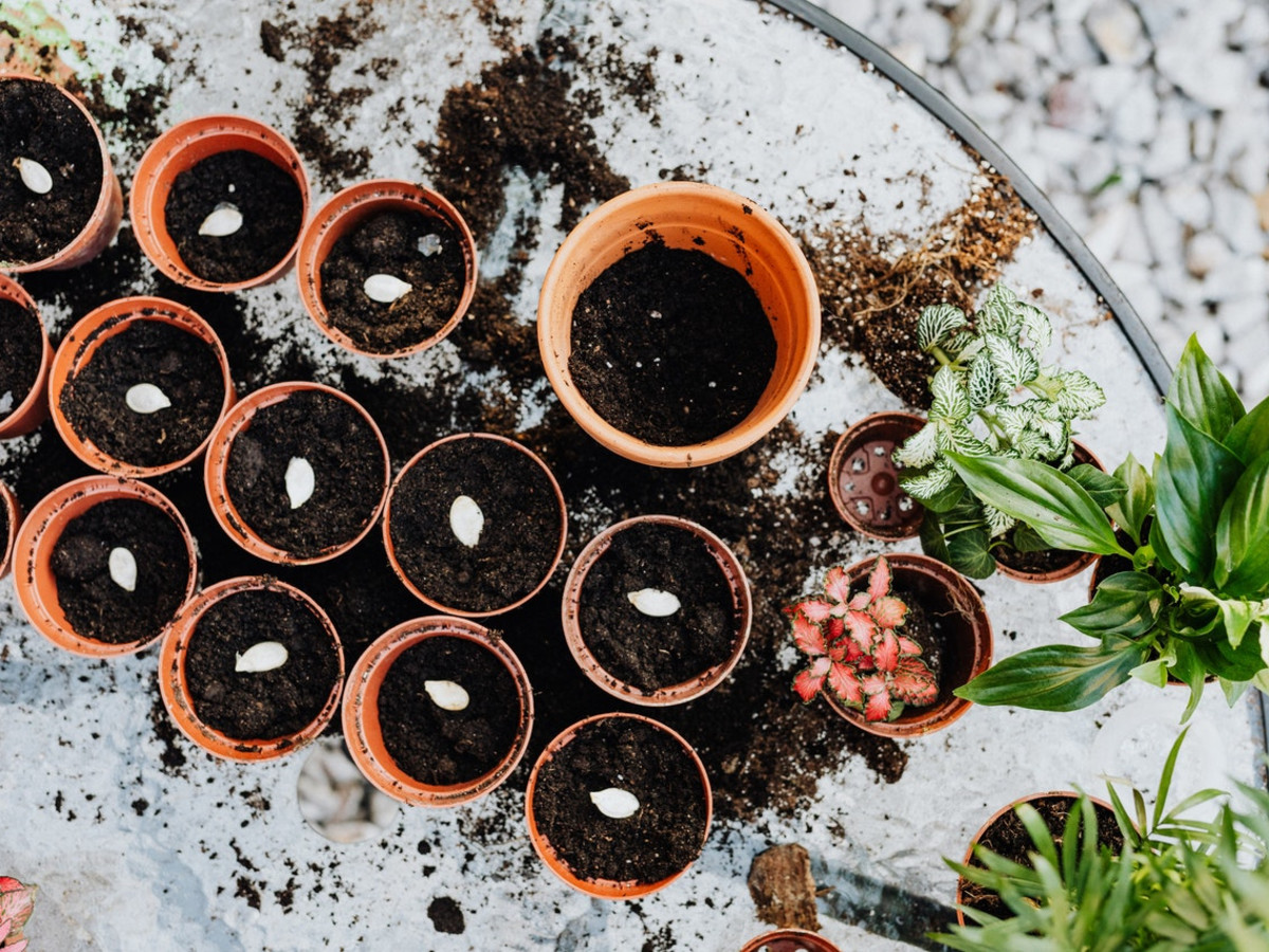 Photo by Karolina Grabowska from Pexels