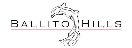 ballito-hills