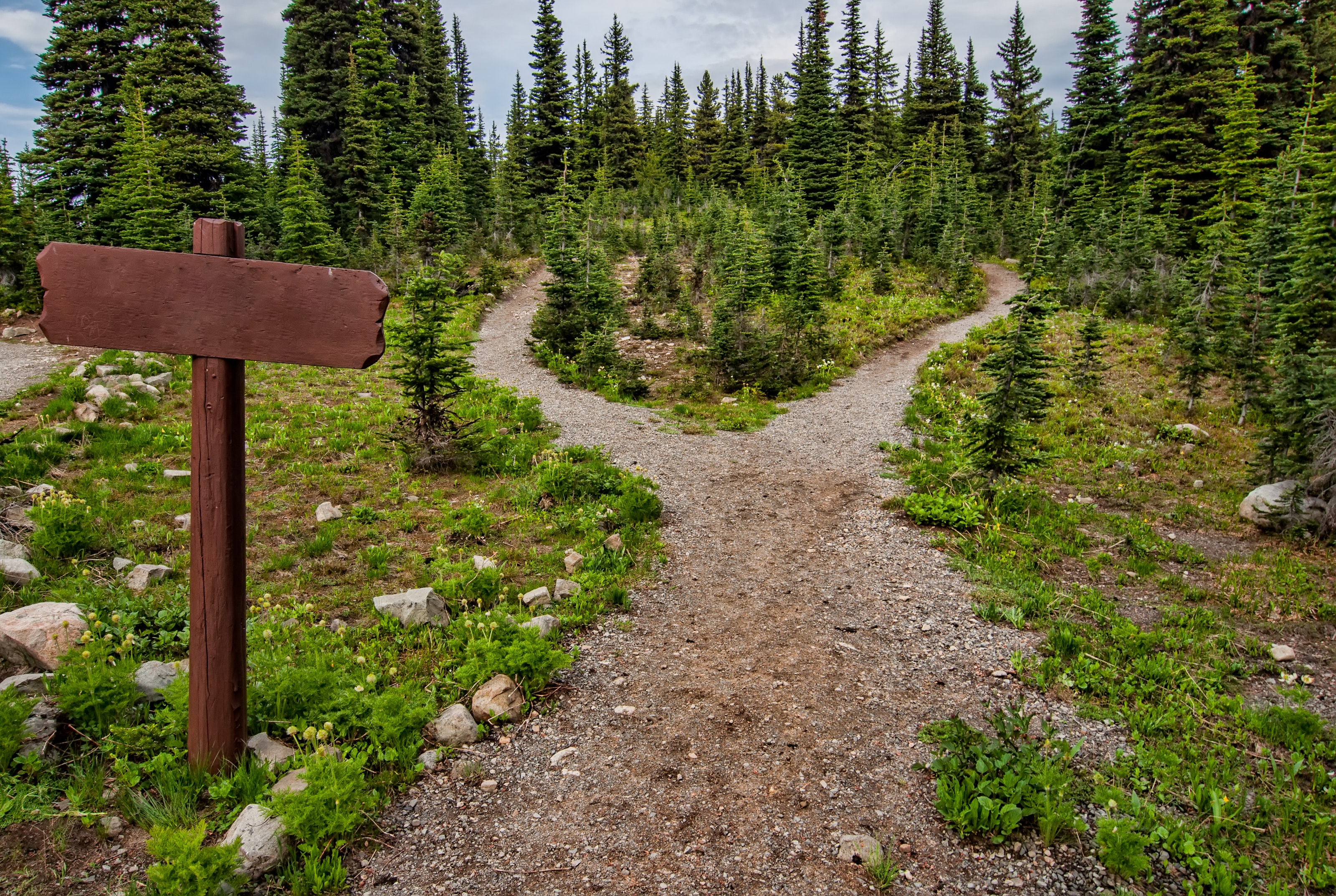 Pathways merging