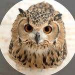 GEN3 × GARUのプロフィール画像