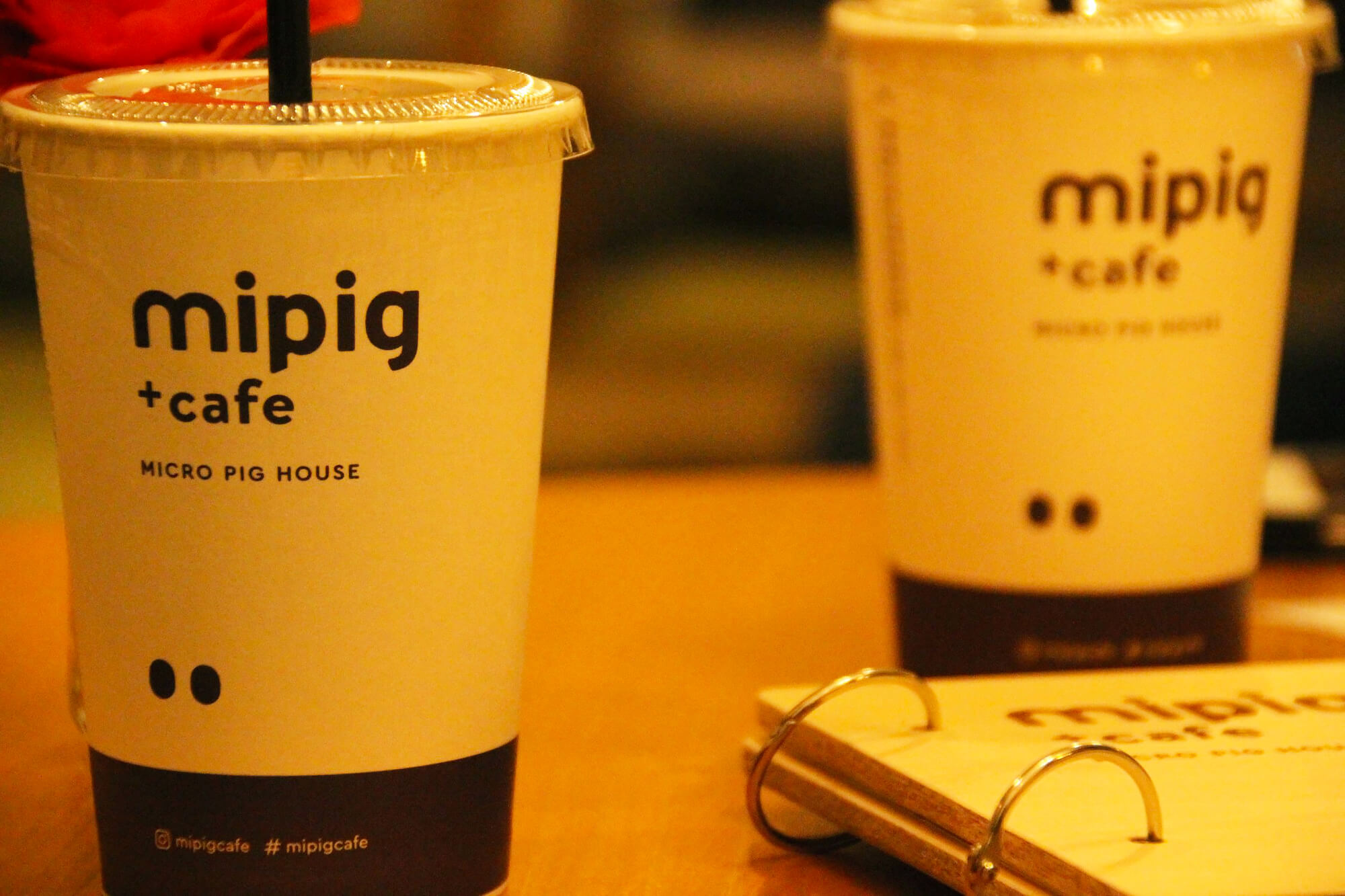 マイクロブタカフェ「Mipig Cafe」の飲み物