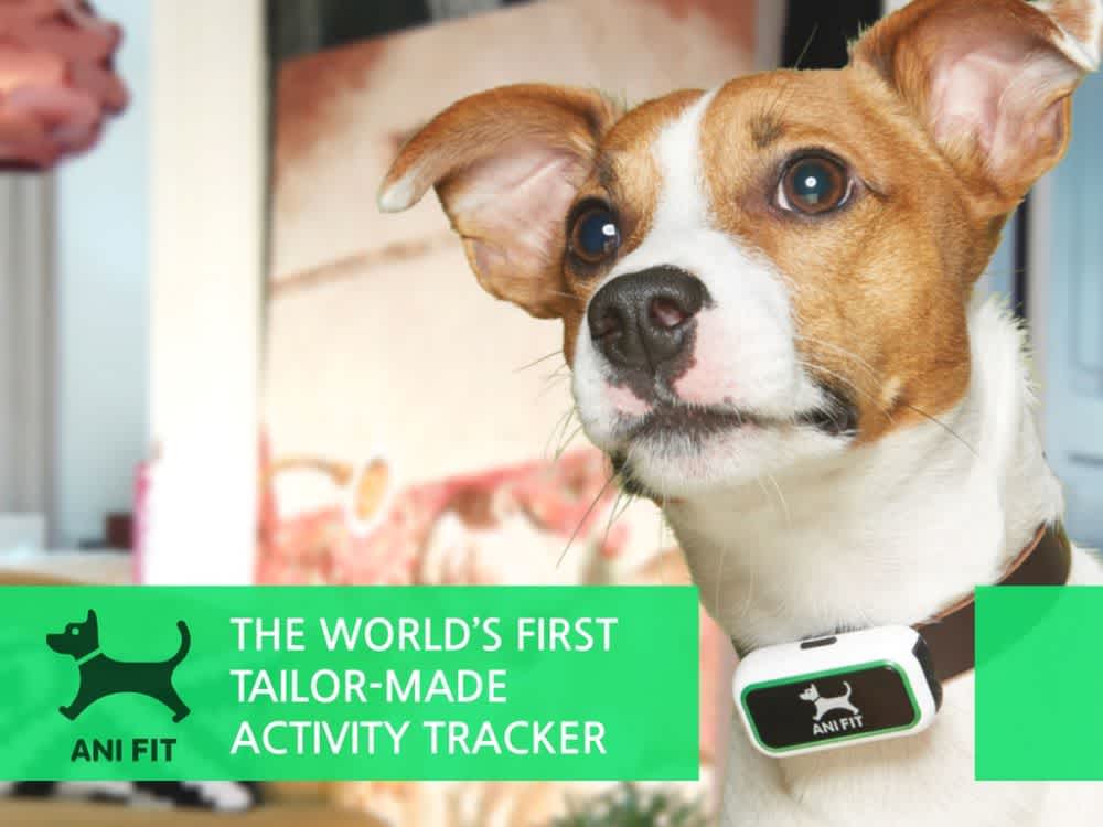 ついに犬用フィットネスモニター「AniFit」がKickstarterで登場
