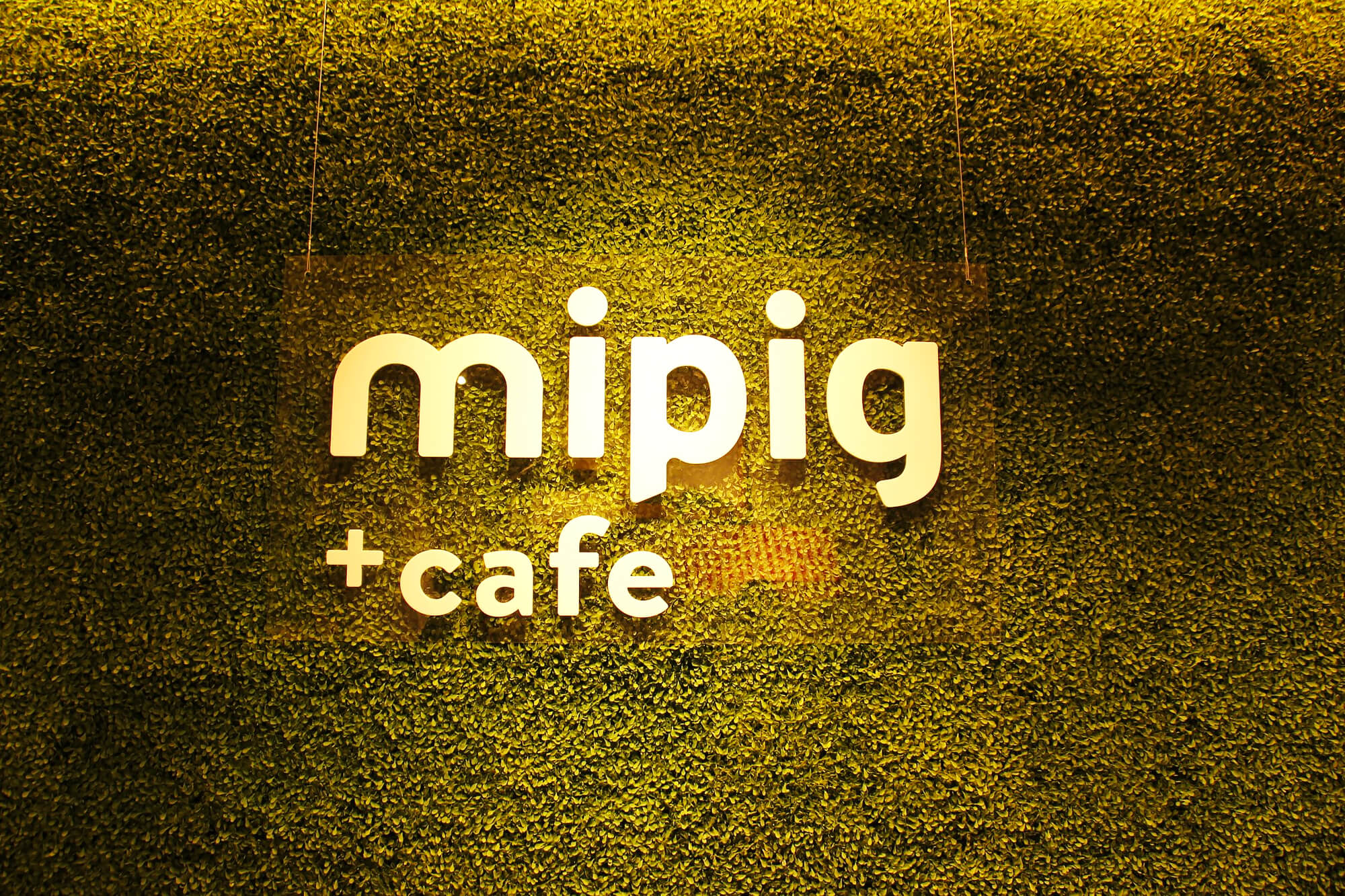 マイクロブタカフェ「Mipig Cafe」のロゴ