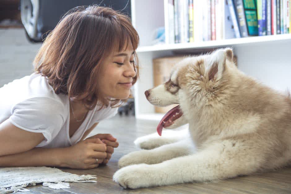 犬好きの聖地を探せ！ 都内のペット可事情