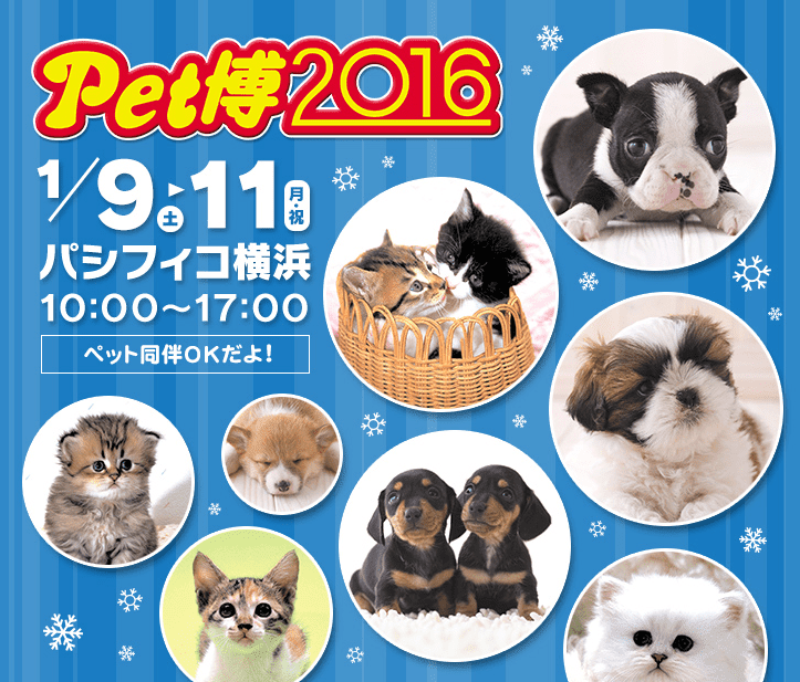 今日・明日も開催！ 「ペット博2016 in 横浜」初日レポート！