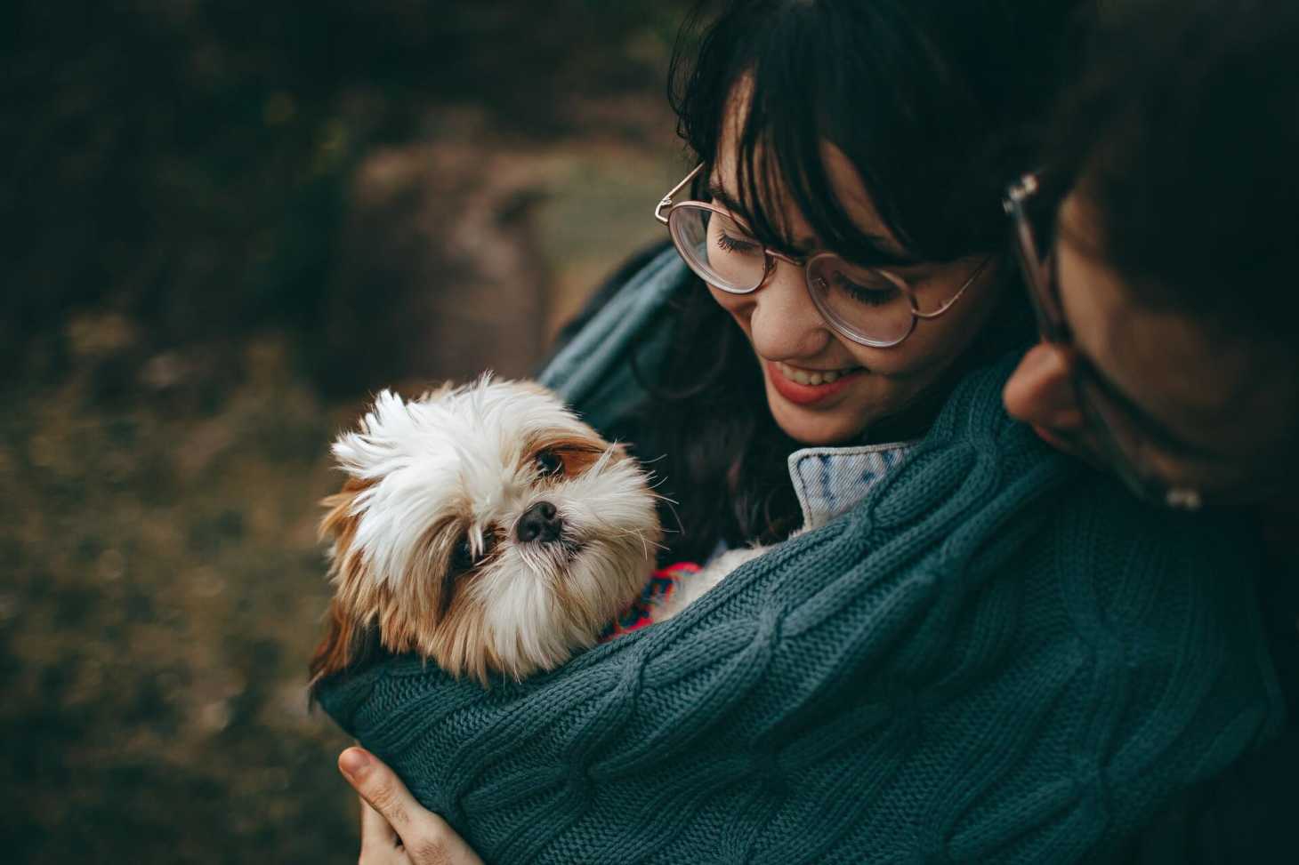 犬 里親 ジモティー 里親さんを待っている動物たち いつでも里親募集中