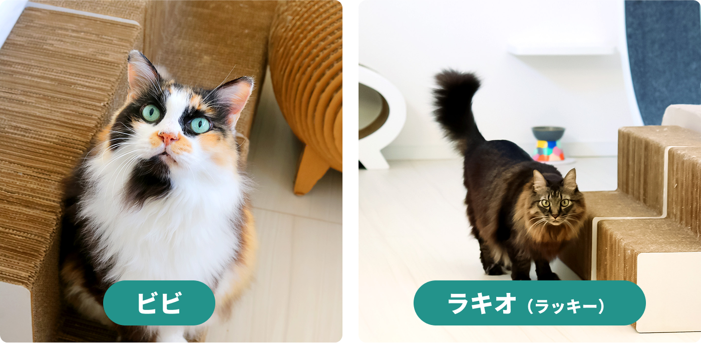 ビビとラキオ（ラッキー）