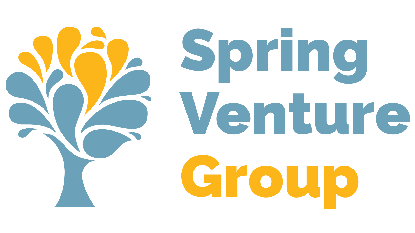 Spring Venture Group