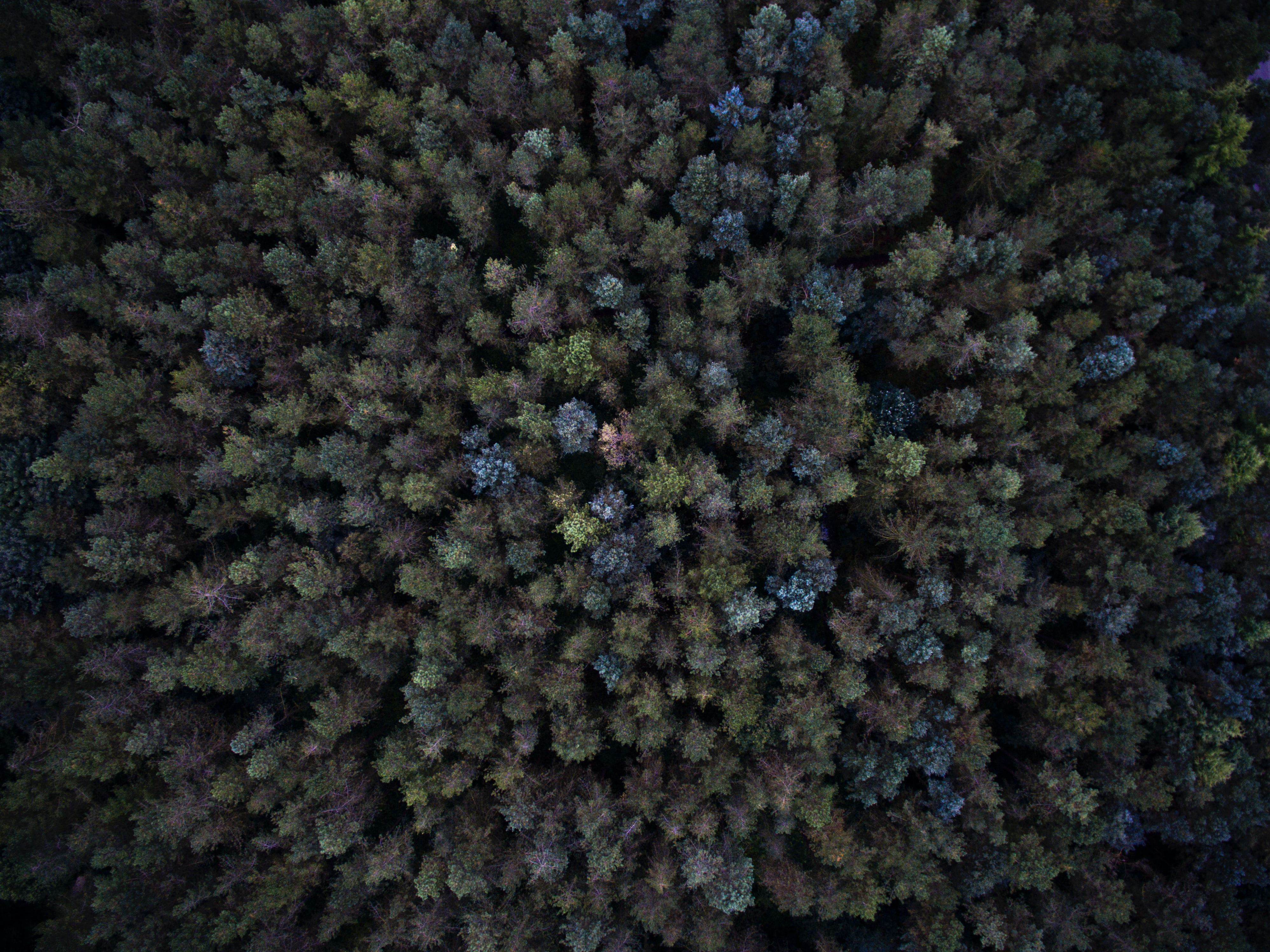 How to Find an Old 401(k) | Lost or Forgotten Accounts