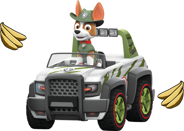 Paw patrol tracker auto online