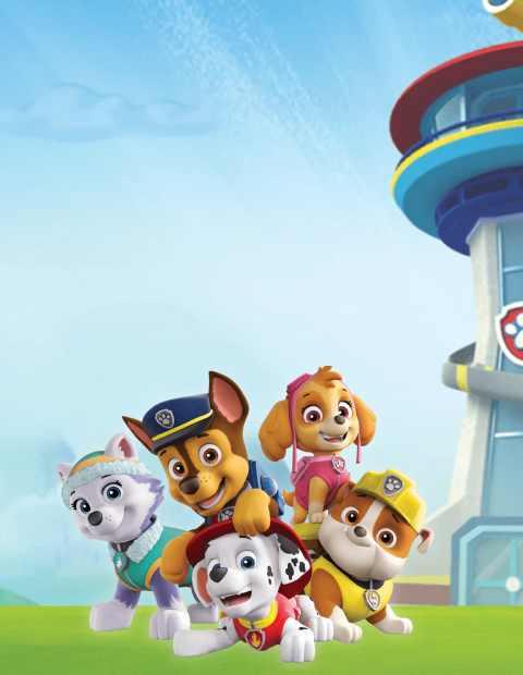 Paw Patrol キャラクター13点セット iy8qsffvg26krvfawngr.jpg?v=