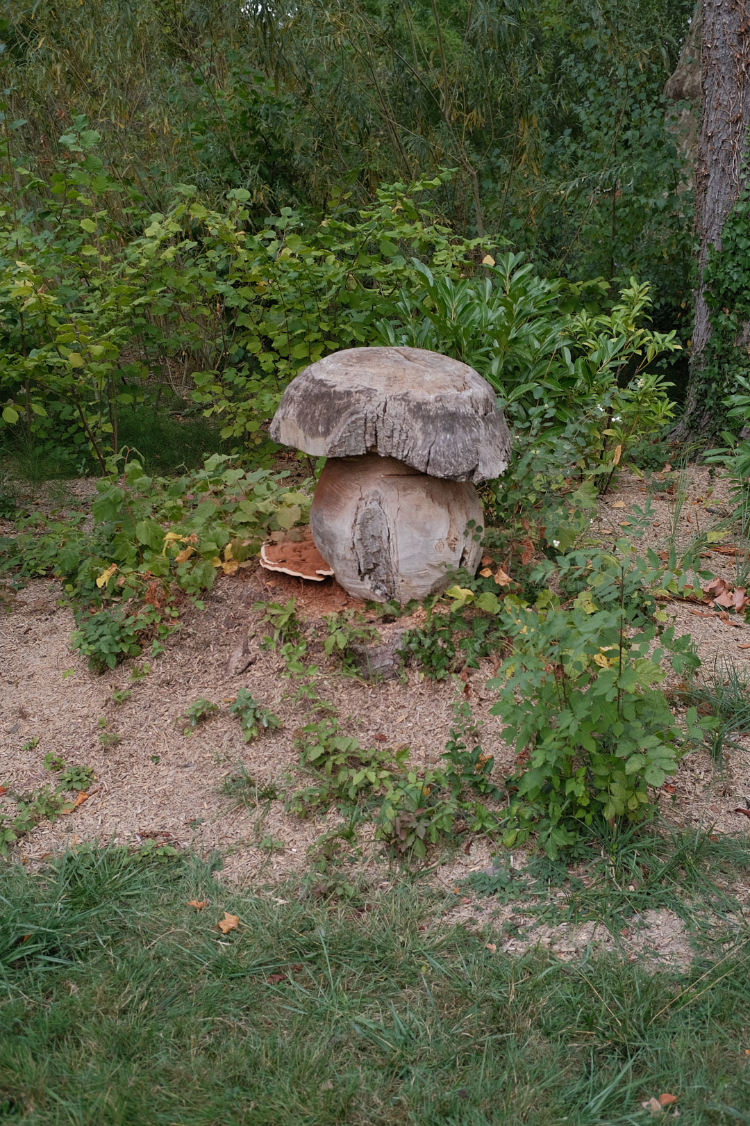 DSCF5868