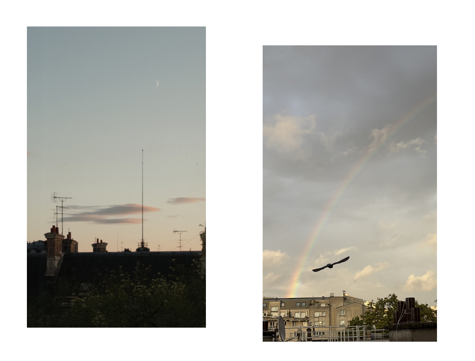 weather 20260819
