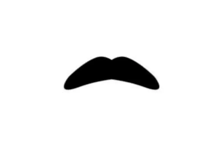 Chevron Moustache