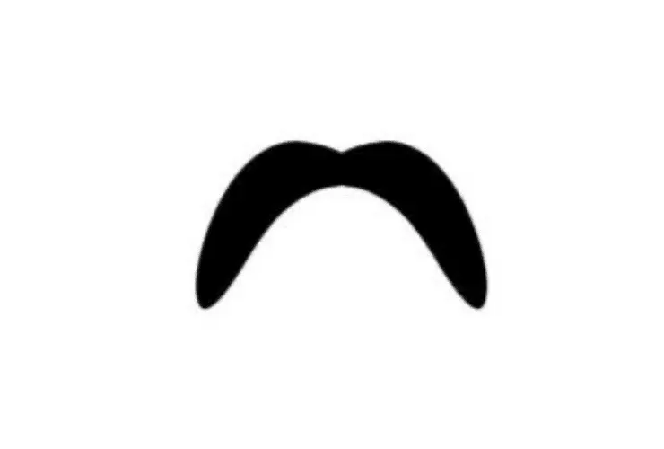 Horseshoe Moustache 