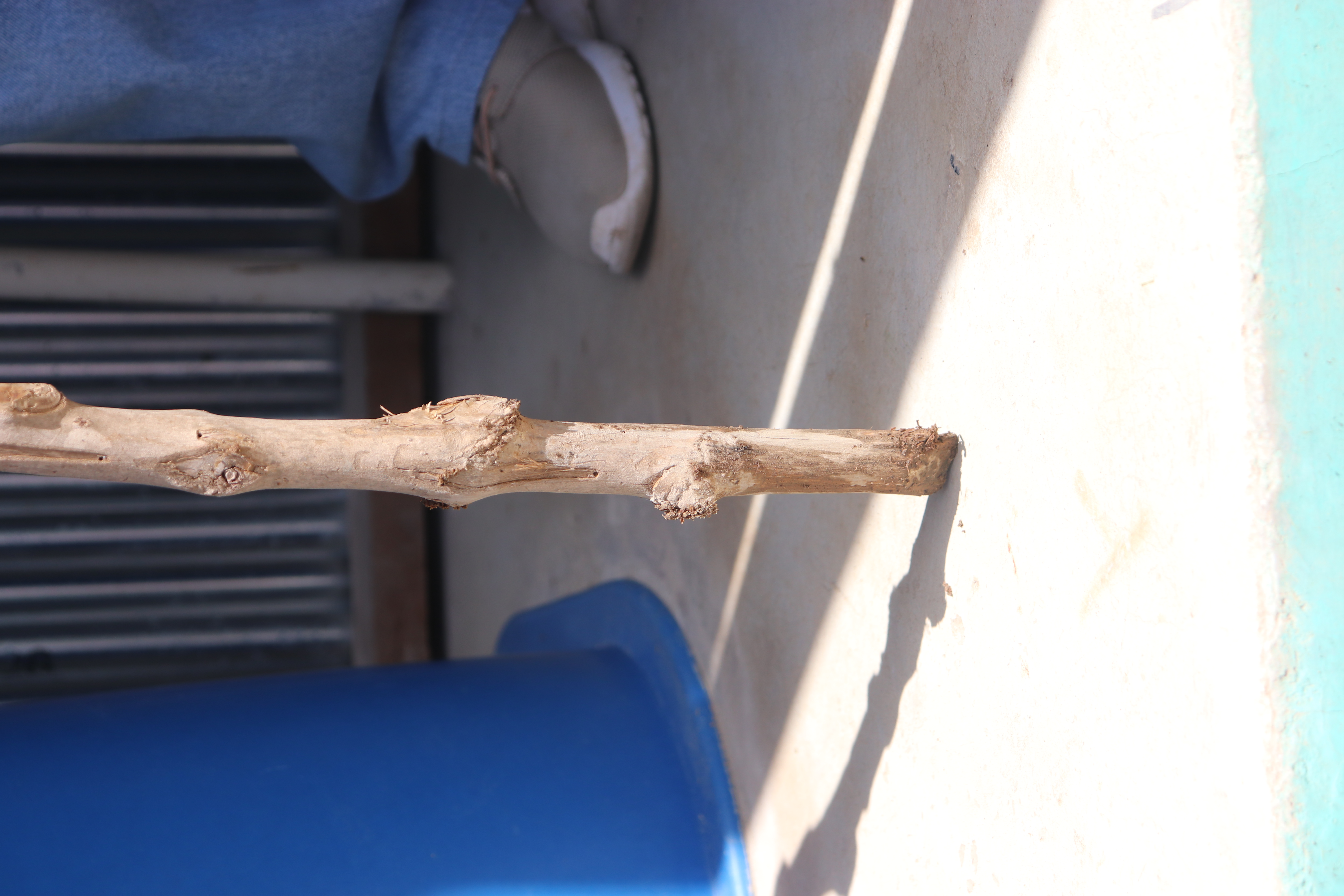 Muestreo de Nivel de humedad