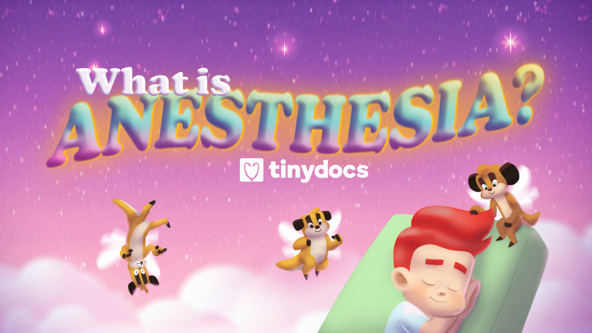 What is Anesthesia?