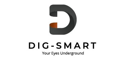 Dig-Smart-logo