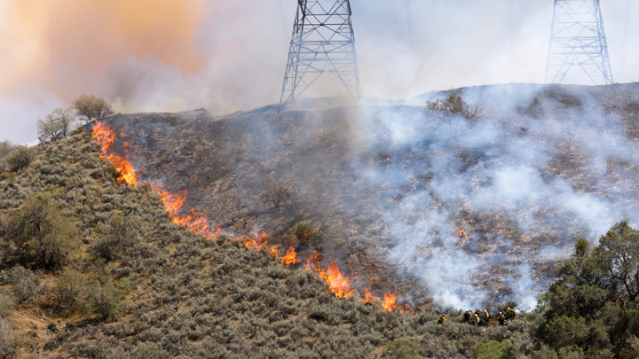 Fire Fighters Fighting Wildfire