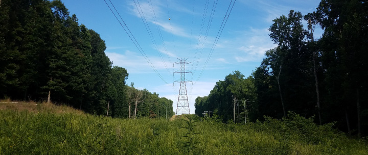 Power lines