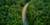 OPS-State_Government_Industry_Page - Hero - Image