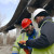 Two men using Structures Inspector under a bridge