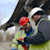 Two men using Structures Inspector under a bridge