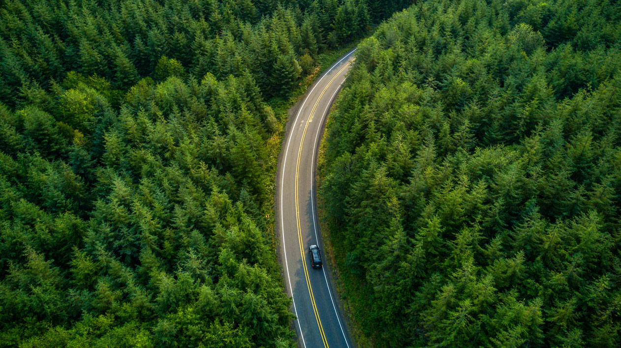 An aerial view shows a winding road with a single car driving on it, cutting through a dense, lush green forest.