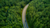 An aerial view shows a winding road with a single car driving on it, cutting through a dense, lush green forest.