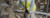 Trimble Cityworks