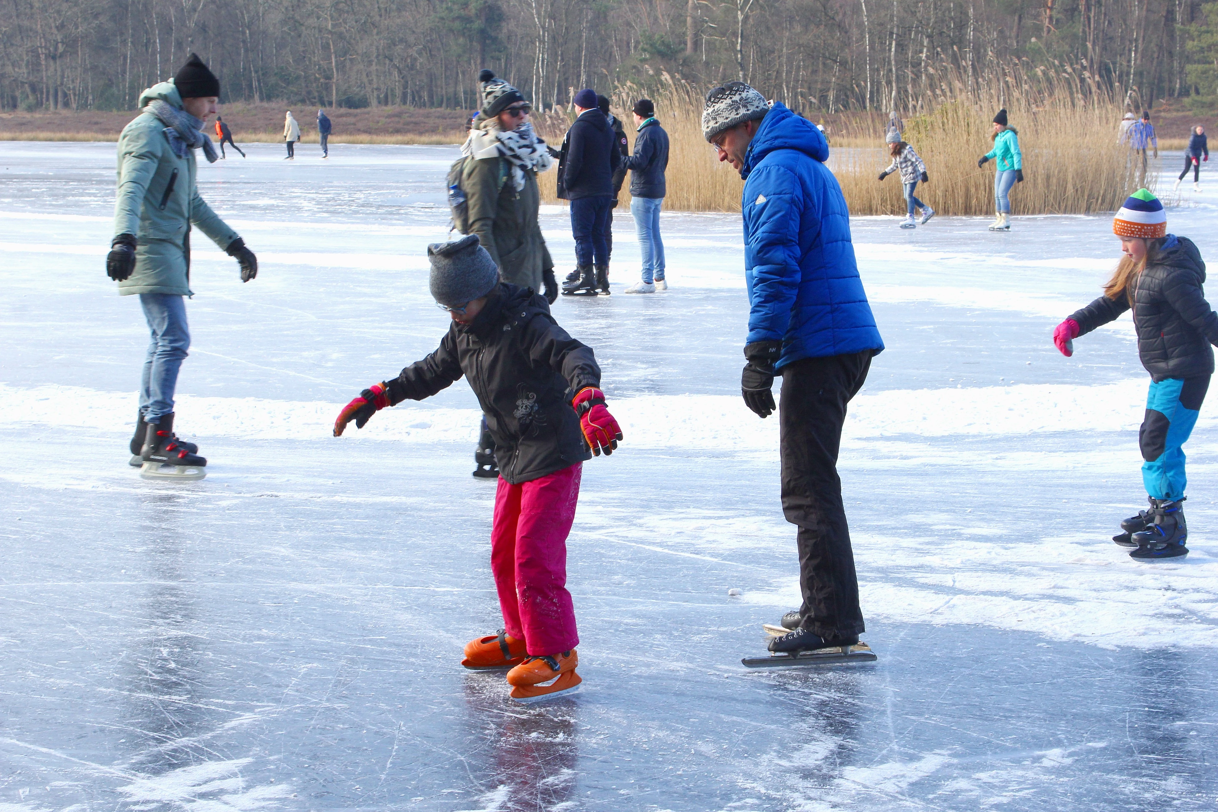 A Dutch father teaches his daughter to skate on real ice: A reed-lined frozen lake in the Veluwe. Around them, people skate or stand talking on the ice.