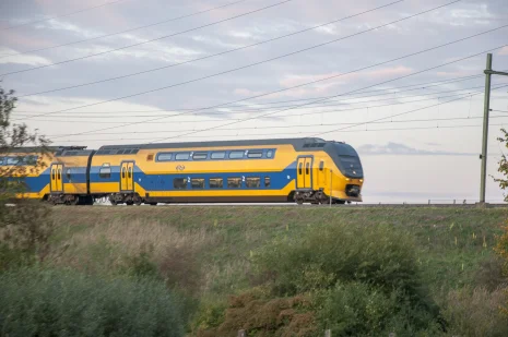 Trein rijdt door Nederlands landschap