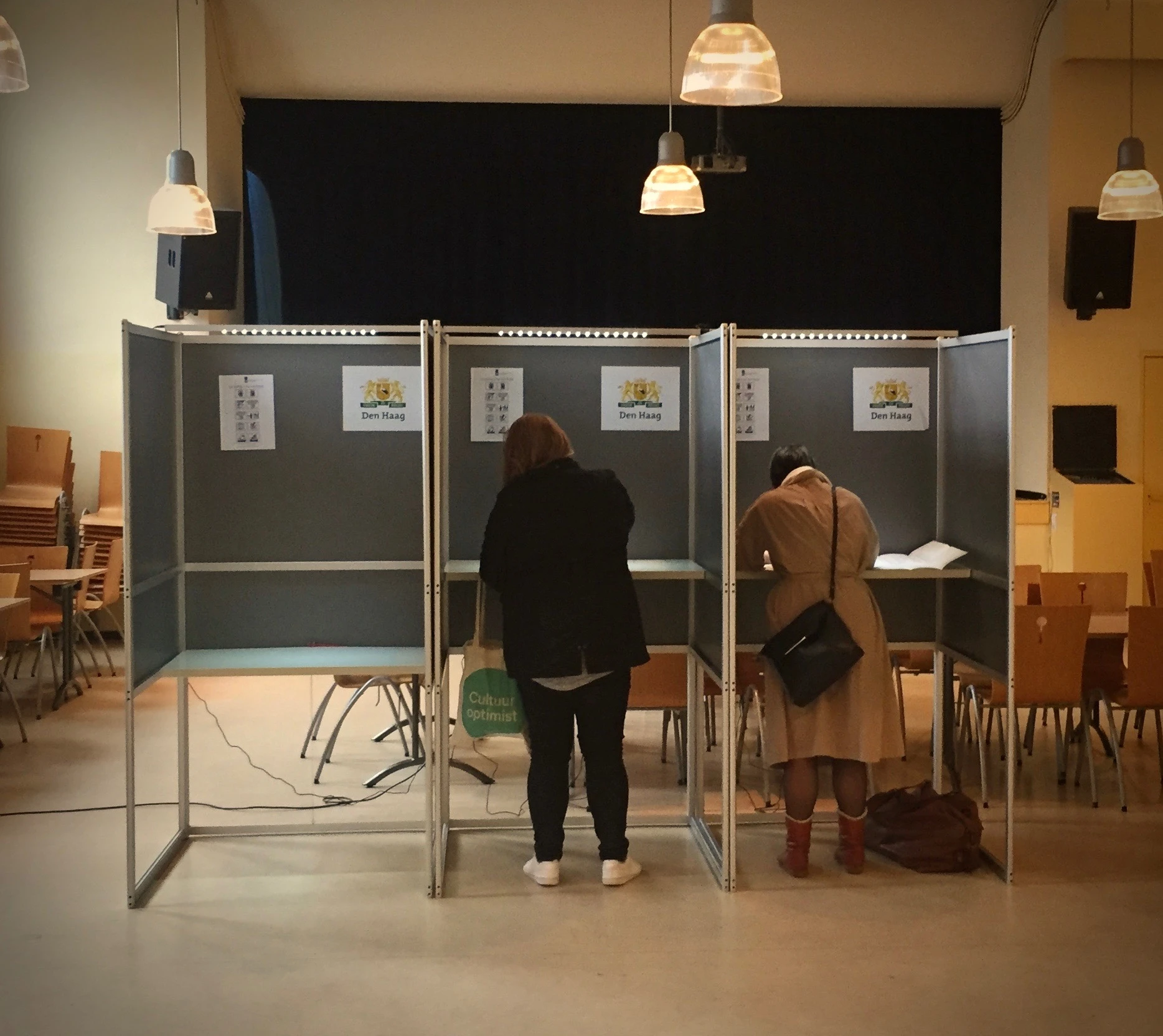 Two people vote in a polling booth during elections.