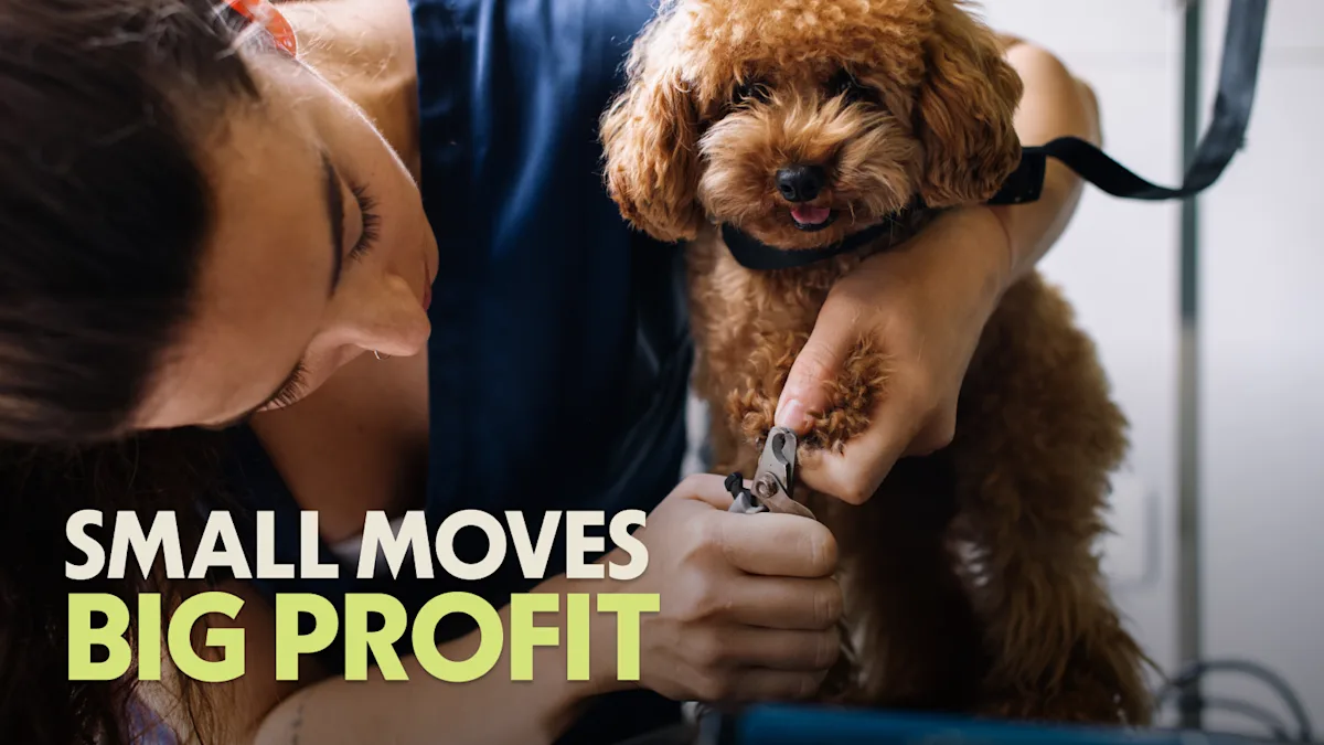 Cover Image for The Simple Levers That Make Any Business More Profitable