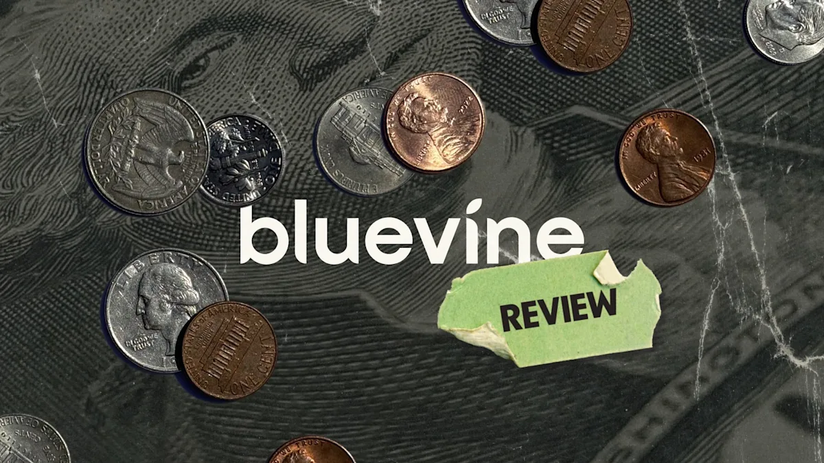 Cover Image for Bluevine Review: Is It the Right Banking Platform for You?