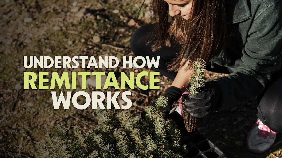 Cover Image for Payment Remittance: A Guide for Small Businesses