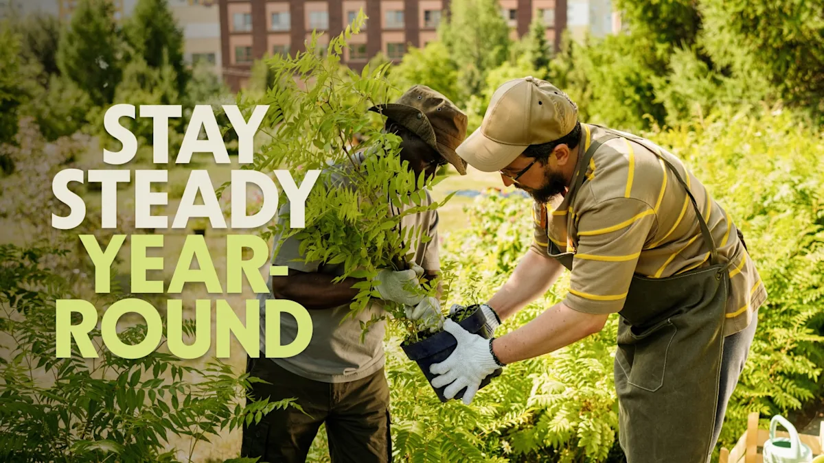 Cover Image for Seasonal Cash Flow Accounting for Landscaping Businesses