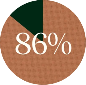 Pie chart reading 86%, with a copper wedge and a small dark green remainder