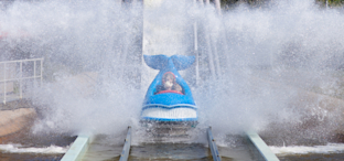 2. Scan your image code