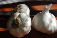 Barbequed Garlic