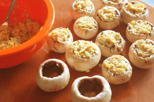 Mushrooms1_3.jpg