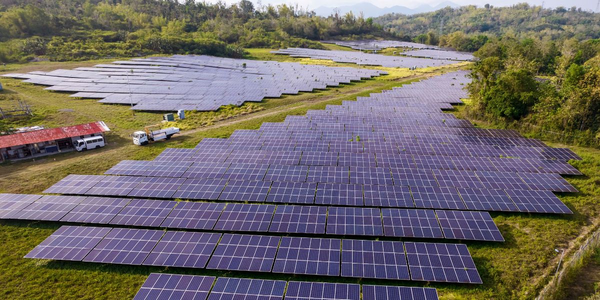 distributor-wire-and-cable-35kv-renewable-energy-collection