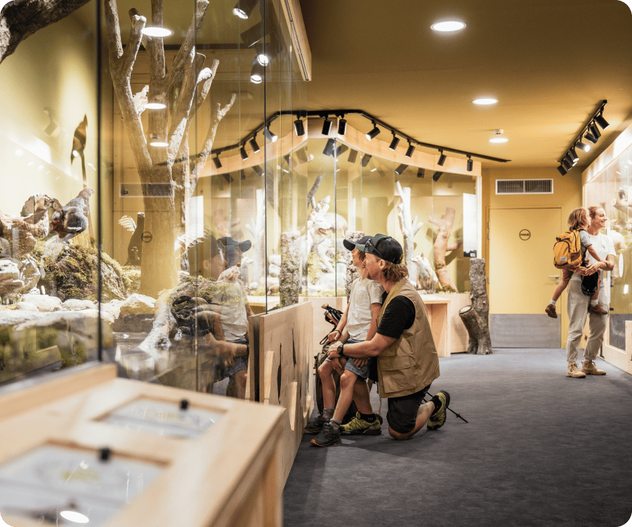 LE MUSÉUM DES ANIMAUX DE MONTAGNE - Sensibilisation LE MUSÉUM DES ANIMAUX DE MONTAGNE