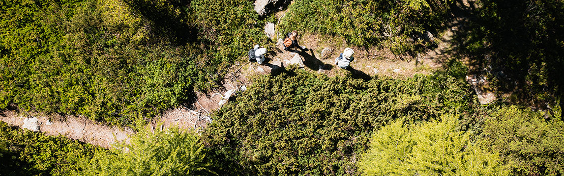 Le sentier de l'Homme-Cairn Bandeau image Le sentier de l'Homme-Cairn Bandeau image