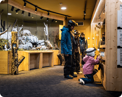 Museum-animaux-été Museum-animaux-été